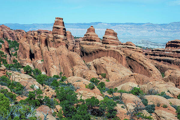 Arches National Park Wall Art featuring the photograph Devils Garden by Diane Moller