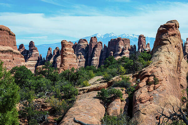 Arches National Park Wall Art featuring the photograph Devils Garden Primitive Loop-3 by Diane Moller