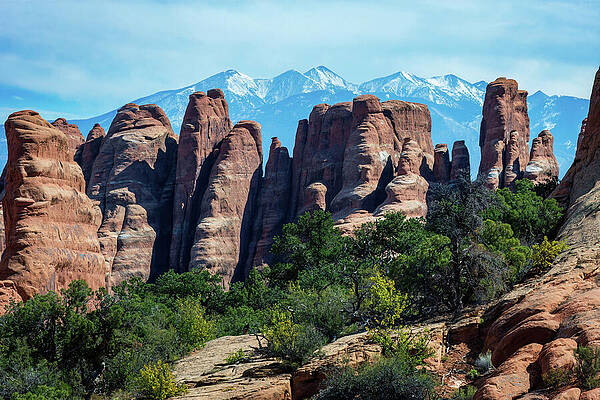 Arches National Park Wall Art featuring the photograph Devils Garden Primitive Loop-4 by Diane Moller