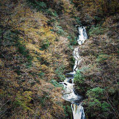 Devils Gorge Falls Print