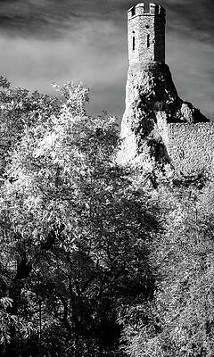 Tree Photograph - Devin Castle by Robert Grac