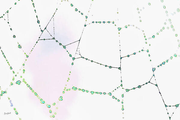 Abstract Photograph - Dew In Spiderweb by Bruce Block