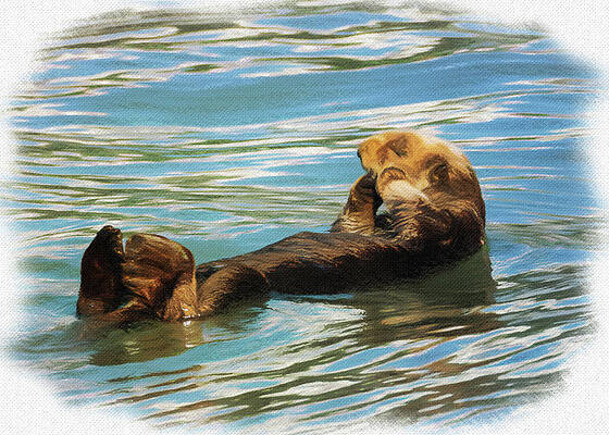 Wall Art featuring the photograph Digital Pastel Of Sea Otter Floating In The Sea by Steven Heap