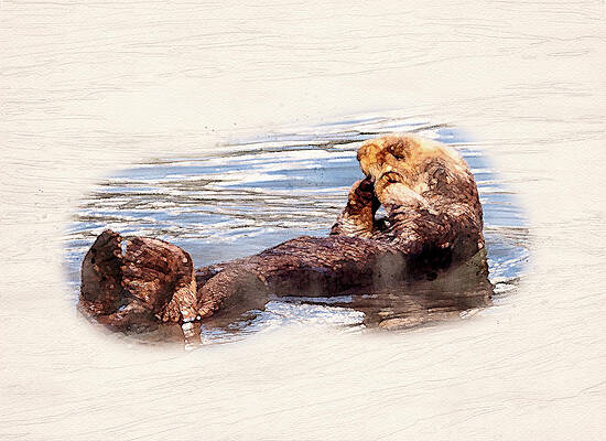 Wall Art featuring the photograph Digital Watercolor Of Sea Otter Floating In The Sea by Steven Heap