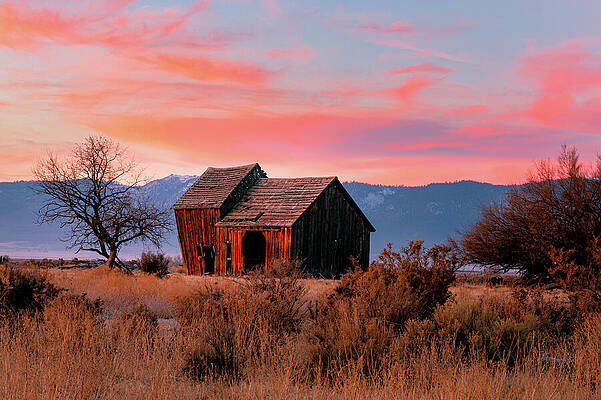 Rustic Wall Art featuring the photograph Dilapidated Dawn by Mike Lee