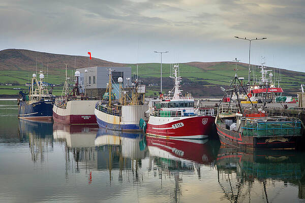 Serene Photograph - Dingle Fishing Boats II by Mark Callanan