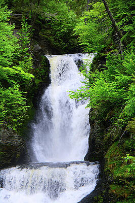 Wall Art featuring the photograph Dingman Falls Spring Green 2 by Raymond Salani III