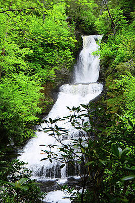 Wall Art featuring the photograph Dingman Falls Spring Green 3 by Raymond Salani III