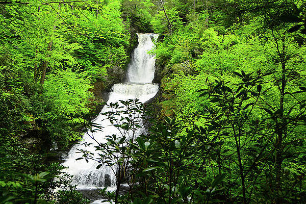 Wall Art featuring the photograph Dingman Falls Spring Green by Raymond Salani III