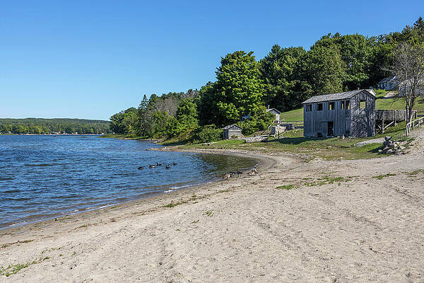 Quiet Lakeside Beach with Wooden Cabin Wall Art