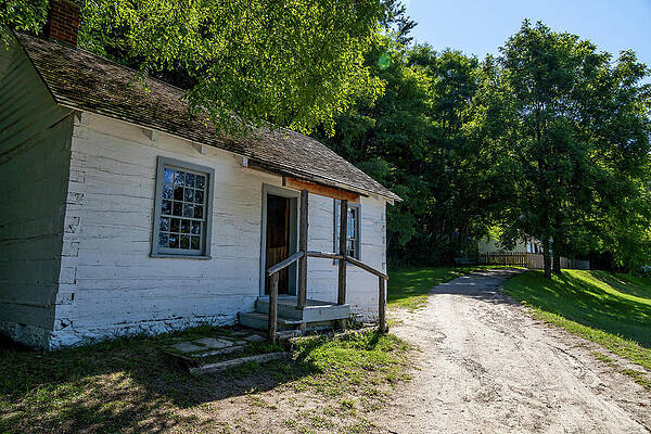 Rustic White Cabin in the Woods Wall Art