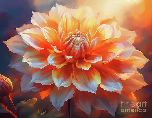Summer Digital Art - Divinely Dahlia by Macro Abundance