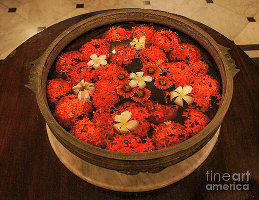 Water Wall Art featuring the photograph Diwali by Helo Art