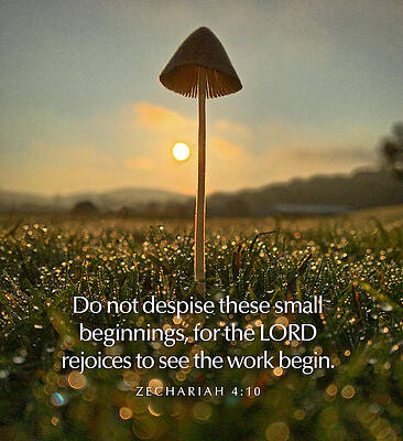 Southern Wall Art featuring the photograph Do Not Despise Small Beginnings by Greg Lane