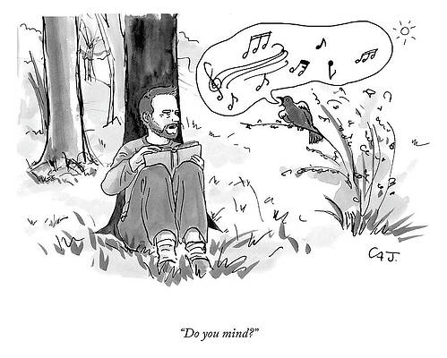 Peaceful Drawing - Do You Mind? by Carolita Johnson