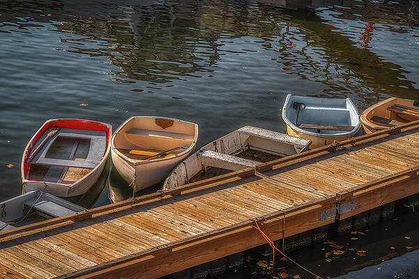 Rustic Photograph - Docked For The Day by Penny Polakoff