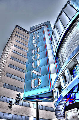 Photograph - Dog Day Revival by Randall Dill