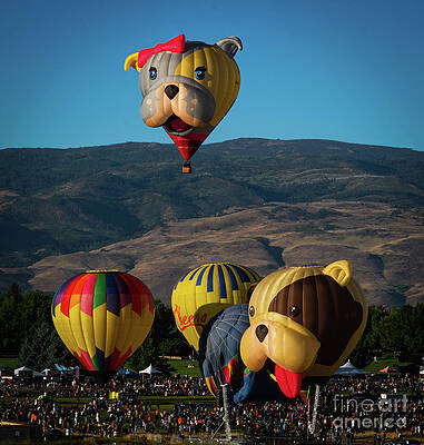 Reno Wall Art featuring the photograph Dog Days At The Reno Balloon Races by Ron Long Ltd Photography