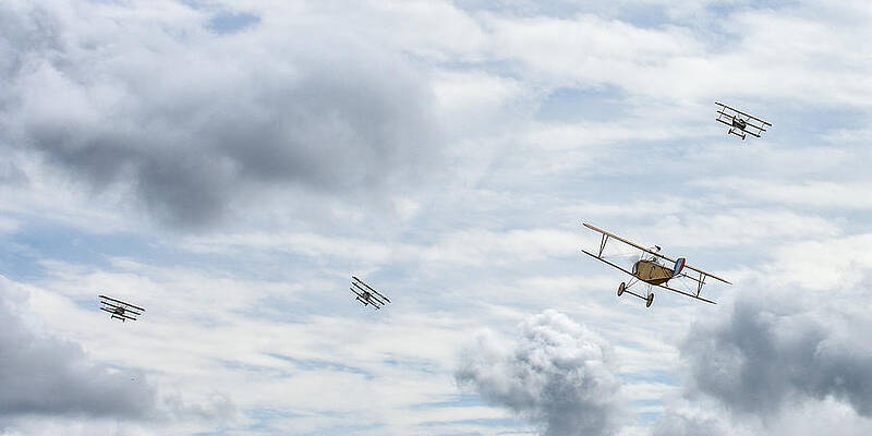 David Photograph - Dog Fight by David Hart