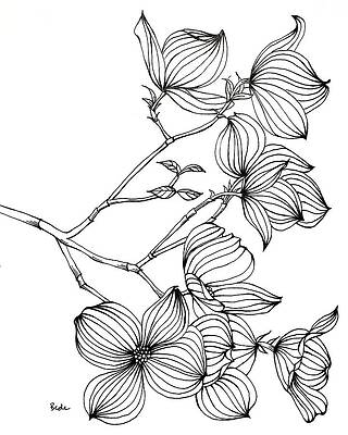Dogwood II by Catherine Bede