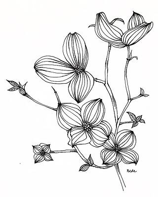 Dogwood III by Catherine Bede