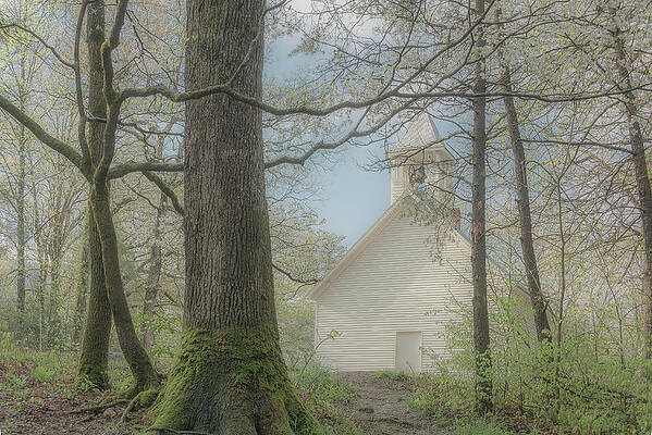 Country Photograph - Dogwood Sunday by Marcy Wielfaert