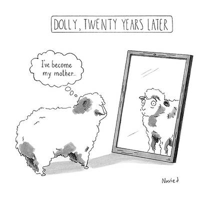 Dolly Reflects on Her Future Drawing