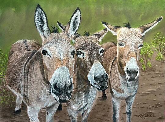 Three Donkeys in a Field Wall Art