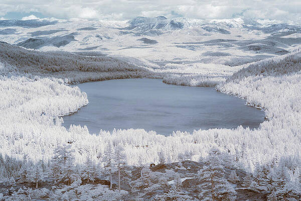 California Wall Art featuring the photograph Donner Lake Infrared Vista - Truckee California by Mike Lee