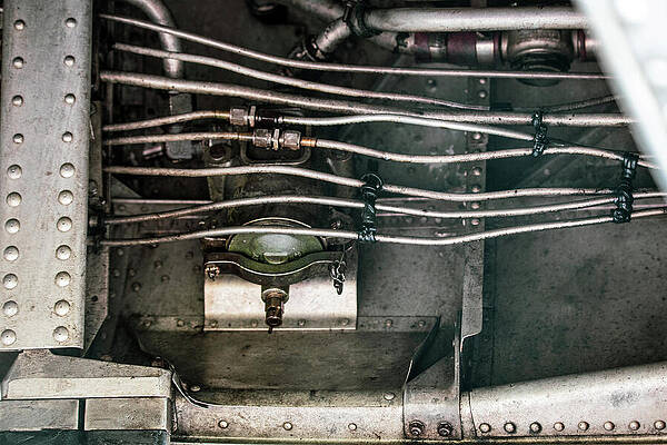 Wall Art featuring the photograph Don't Brake It by KC Hulsman