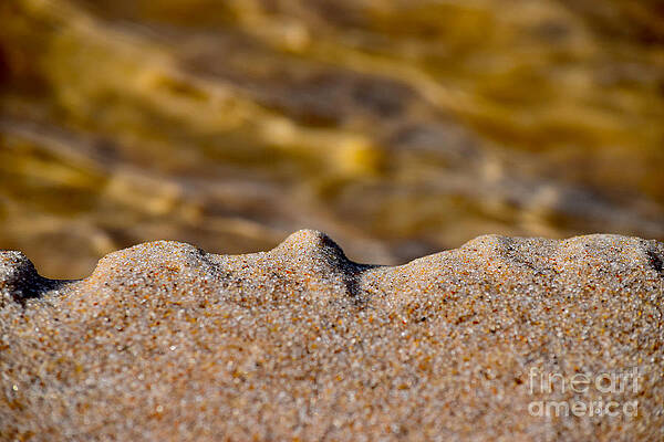 Wall Art featuring the photograph Don't Wake The Sleeping Sandman by Debra Banks
