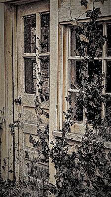 Wall Art featuring the photograph Door Vine by John Linnemeyer