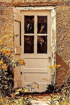 Wall Art featuring the photograph Door1 by John Linnemeyer