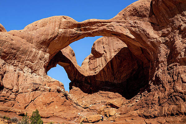 Nature Wall Art featuring the photograph Double Arch In Arches National Park by Ed Clark