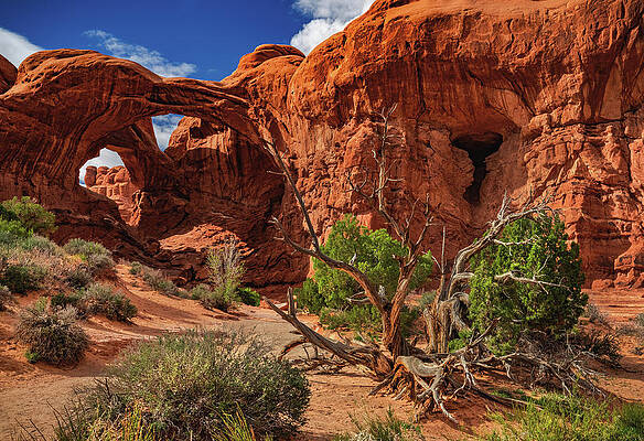 Landscape Photograph - Double Arch Landscape, Utah by Abbie Warnock
