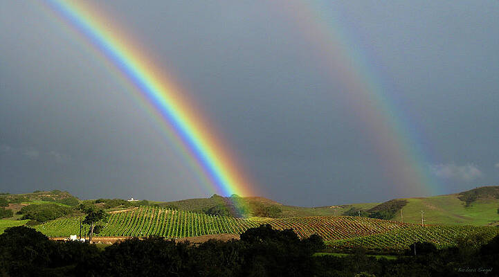Wall Art featuring the photograph Double Rainbow by Barbara Siegel