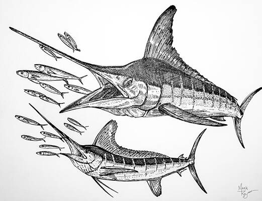 Swordfish and a School of Fish Wall Art