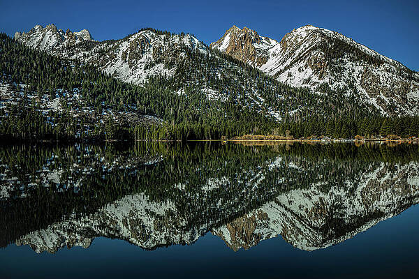 California Wall Art featuring the photograph Double Vision by Tim Lyden