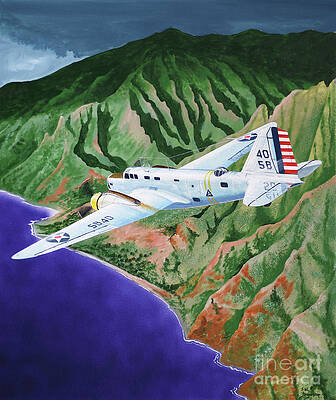 Wall Art featuring the painting Douglas B-18 Bolo by Steve Ferguson