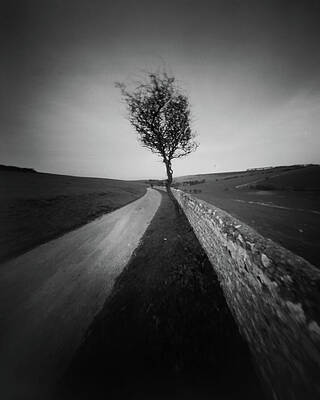 Photograph - Down The Road To Crowlink by Will Gudgeon