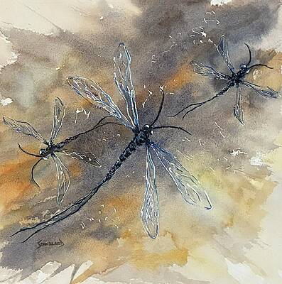 Three Delicate Dragonflies in Motion Painting