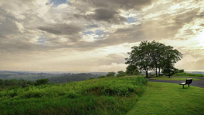 Serene Landscape at Dusk Wall Art