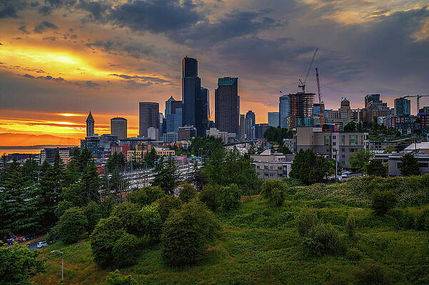 Sky Photograph - Dramatic Sunset Over Seattle Skyline With Visible Greenery In The Foreground by Miroslav Liska