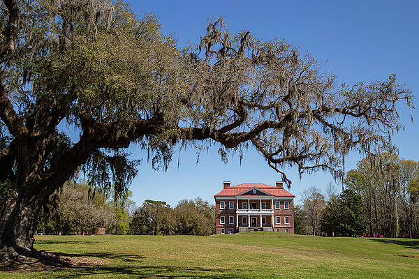Reflection Photograph - Under Shelter by Cindy Robinson