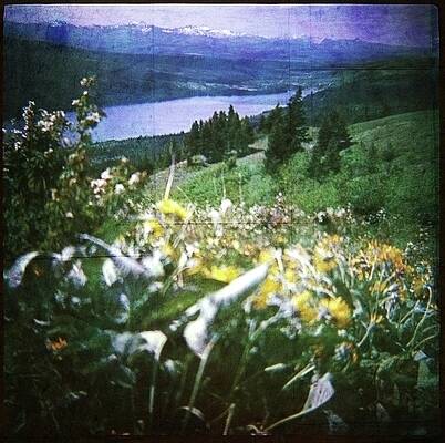 Wall Art featuring the photograph Dream In East Glacier by Carol Whaley Addassi