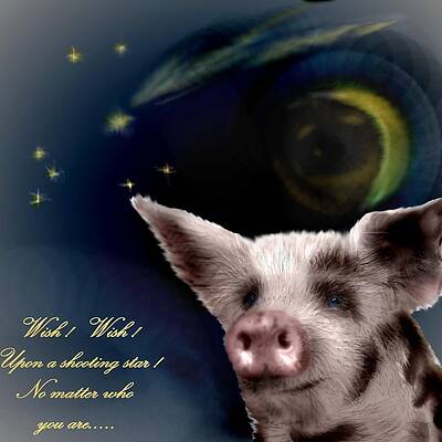 Mixed Media - Dream Pig by Pamela Calhoun