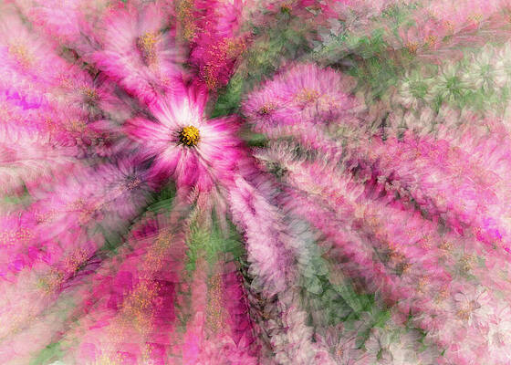 Abstract Wall Art featuring the photograph Dreams Of The Summer Gardens by Elvira Peretsman