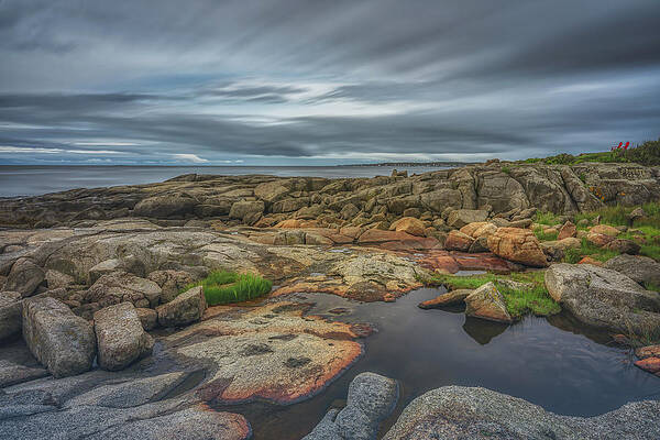 Wall Art featuring the photograph Dreary Morning At Sohier Park by Penny Polakoff