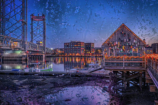 Wall Art featuring the photograph Drenching Rain On Badgers Island by Penny Polakoff