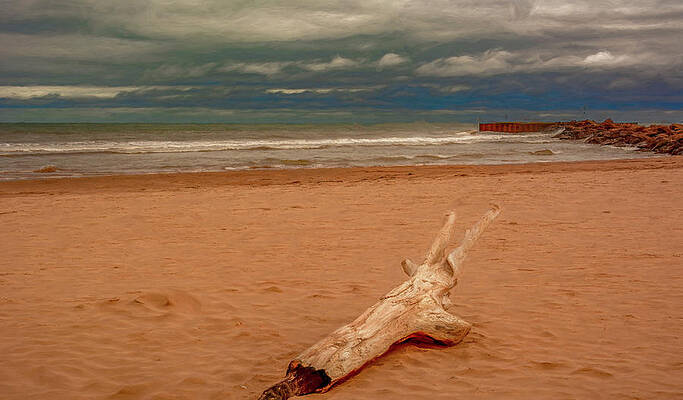Serene Photograph - Driftwood Beach by Marcy Wielfaert